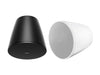 Bose DesignMax DM10P-SUB pendant subwoofer