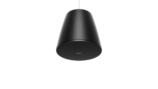 Bose DesignMax DM10P-SUB pendant subwoofer