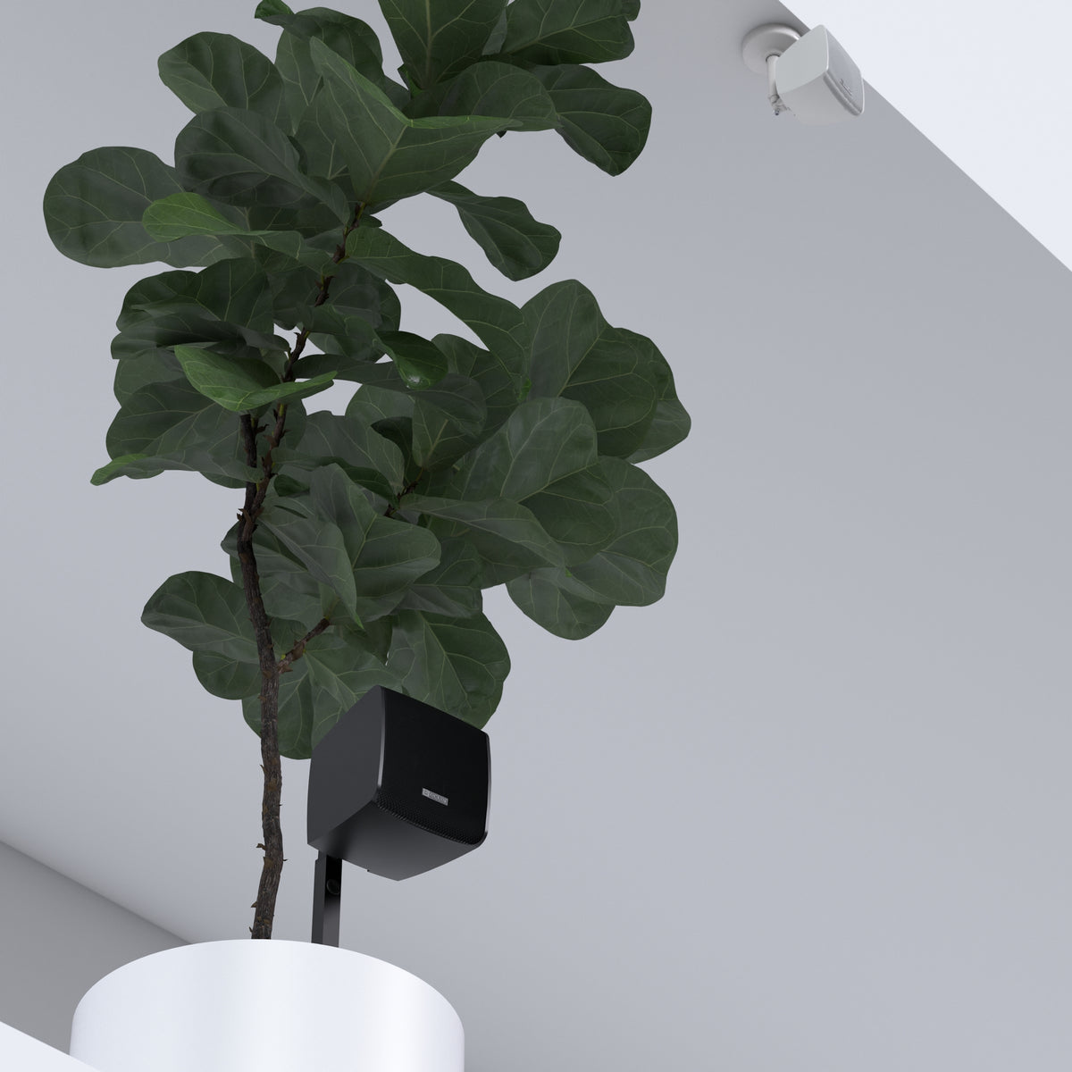 ECLER eMOTUS3OD - Wall mount speakers