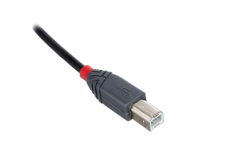 Lindy 3m USB 2.0 Typ C/B Anthra - Computer Cable