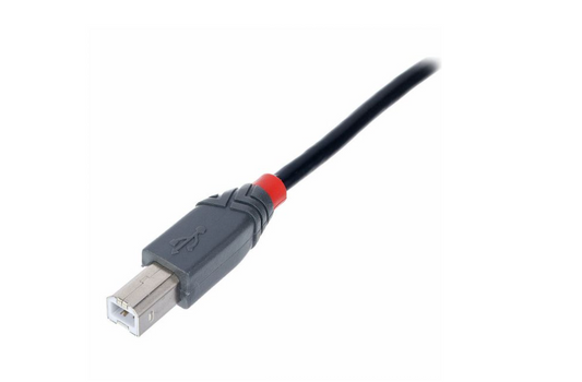 Lindy USB 2.0 Cable Typ A/B 5m - Computer Cable