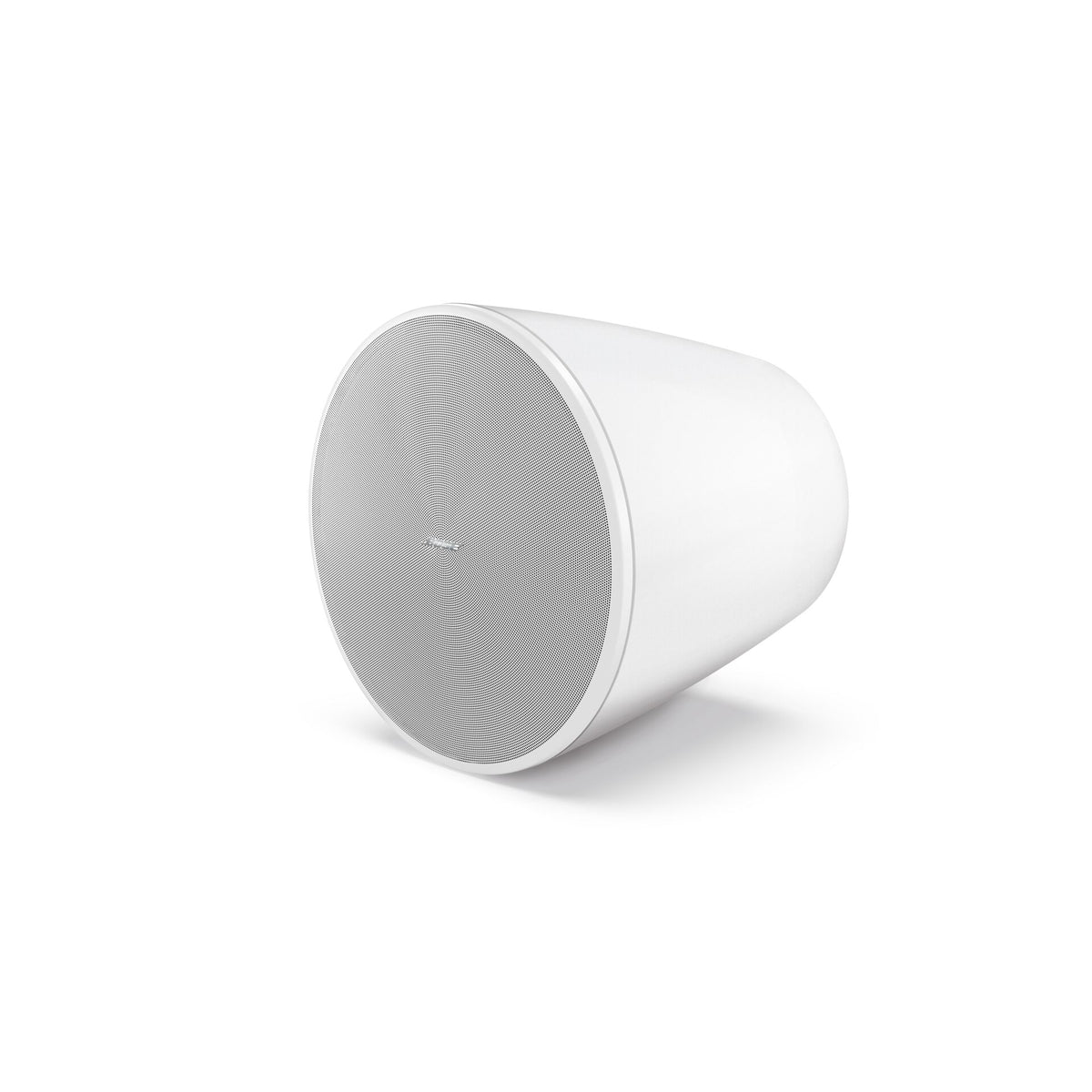 Bose DM10P-SUB pendant loudspeaker