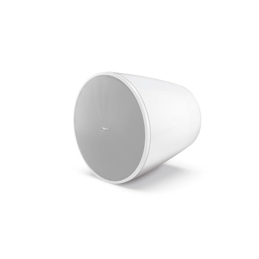 Bose DM10P-SUB pendant loudspeaker