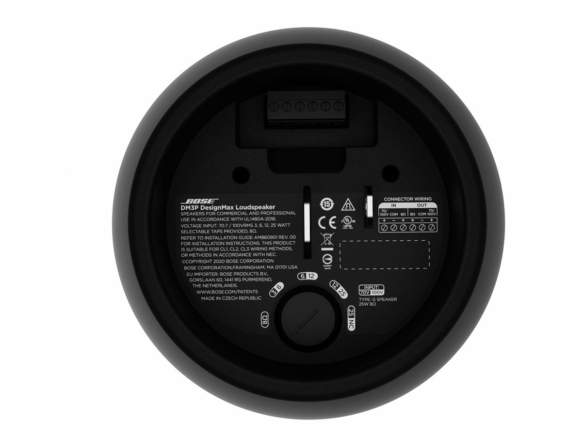 Bose DM3P pendant loudspeaker