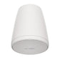 Bose FS2P pendant loudspeaker