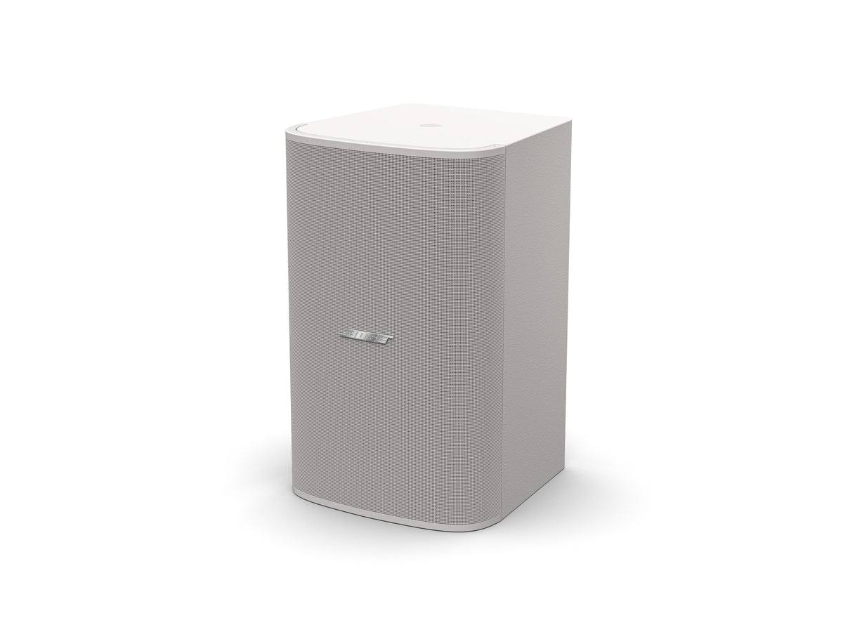Bose DM10S-SUB surface-mount loudspeaker