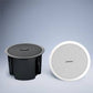 Bose FreeSpace® DS 100F loudspeaker