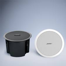 Bose FreeSpace® DS 100F loudspeaker