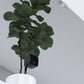 ECLER eMOTUS3OD - Wall mount speakers