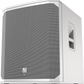 ELECTRO VOICE ELX200-18SP SUB - Active speakers