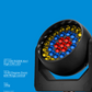 Meanreal  Wash 3715 - Led Wash Lights