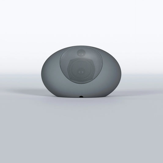 ECLER ZEN-15 Environment Speaker